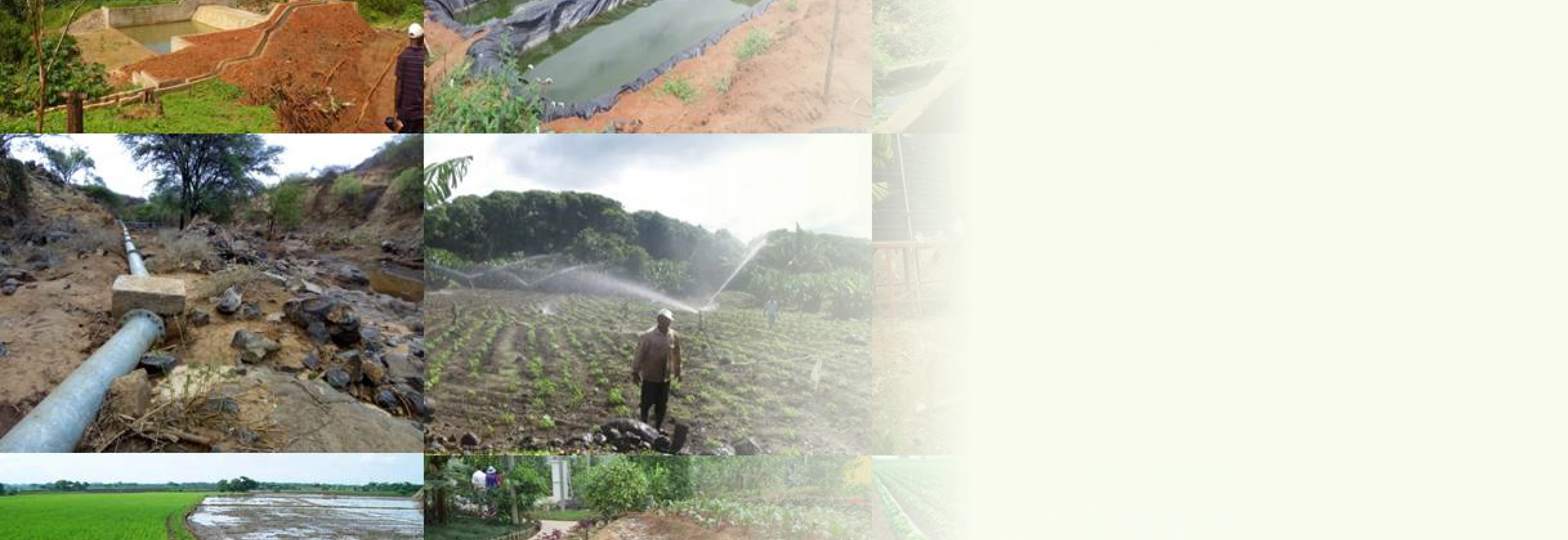 State Department for Irrigation